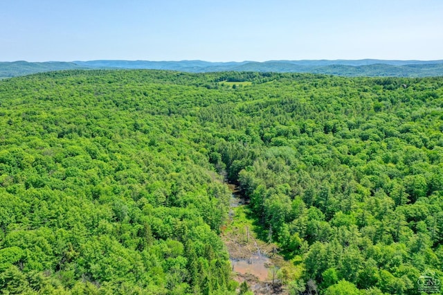 48 Lundy Ln, Chatham, NY 12136