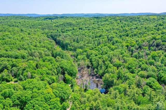 48 Lundy Ln, Chatham, NY 12136