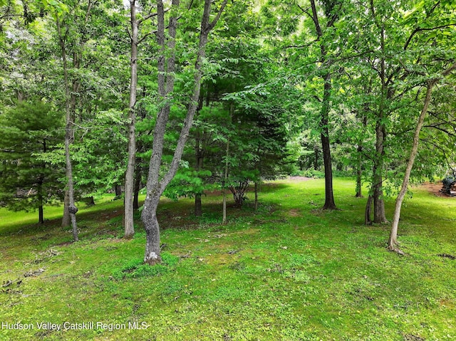 178 Lindorf St, Ulster Park, NY 12487 - photo 41