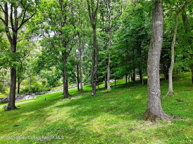 178 Lindorf St, Ulster Park, NY 12487 - photo 40