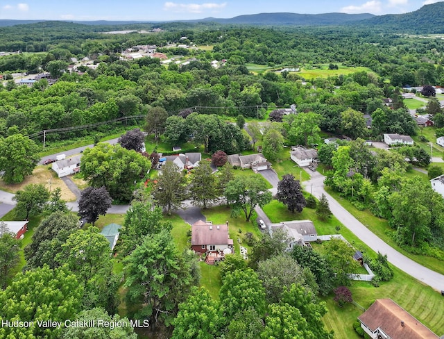 178 Lindorf St, Ulster Park, NY 12487 - photo 46