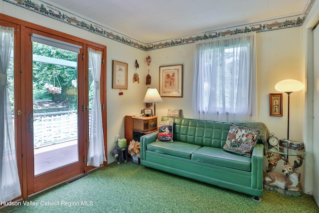 sitting room featuring carpet floors