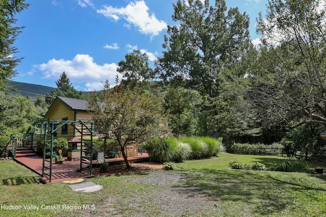 view of yard featuring a playground