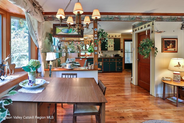 dining area featuring wood-type flooring and an inviting chandelier