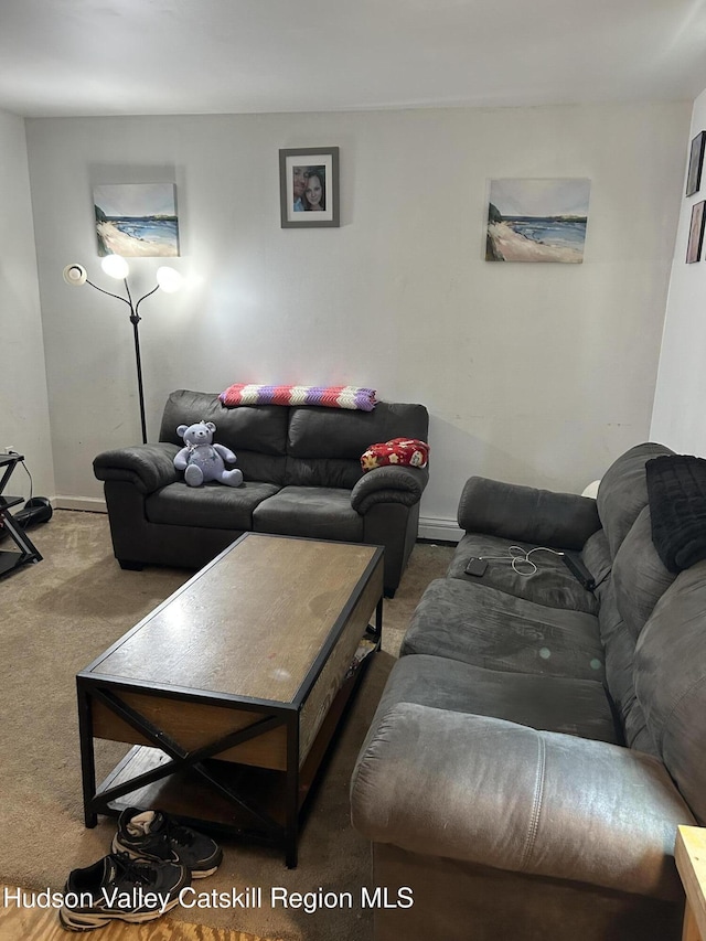 229 Cold Spring Rd, Hudson, NY 12534 - photo 4
