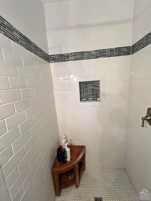15 N Warren St, Athens, NY 12015 - full bath featuring tile walls, a tile shower, and tile patterned floors