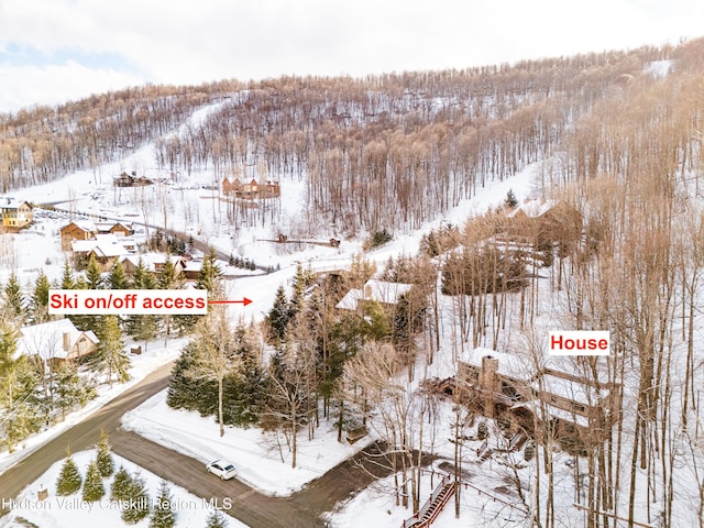 snowy aerial view featuring a view of trees