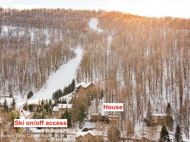 snowy aerial view featuring a forest view