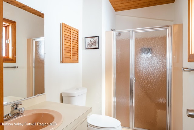 bathroom featuring toilet, a stall shower, and vanity