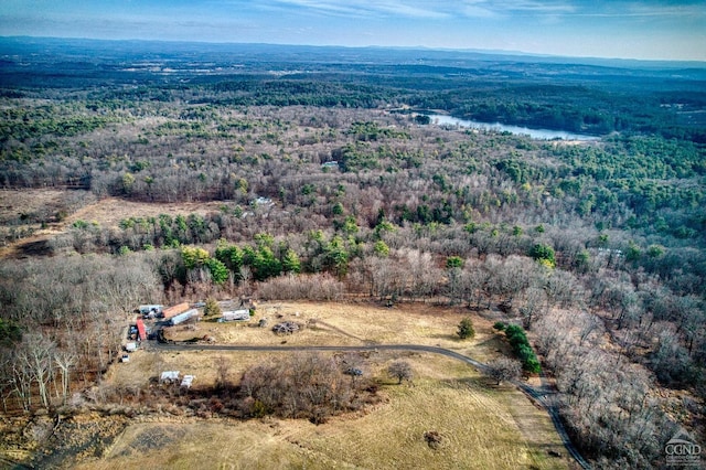 20 Skinner Rd, Catskill, NY 12414