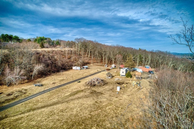 20 Skinner Rd, Catskill, NY 12414