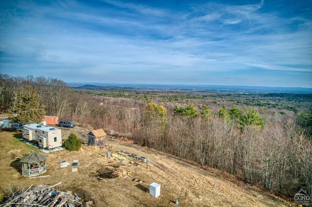 20 Skinner Rd, Catskill, NY 12414