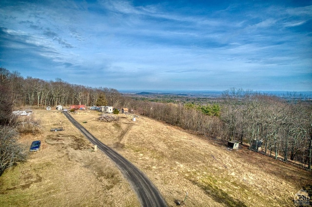 20 Skinner Rd, Catskill, NY 12414