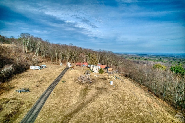20 Skinner Rd, Catskill, NY 12414