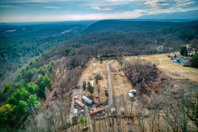 20 Skinner Rd, Catskill, NY 12414