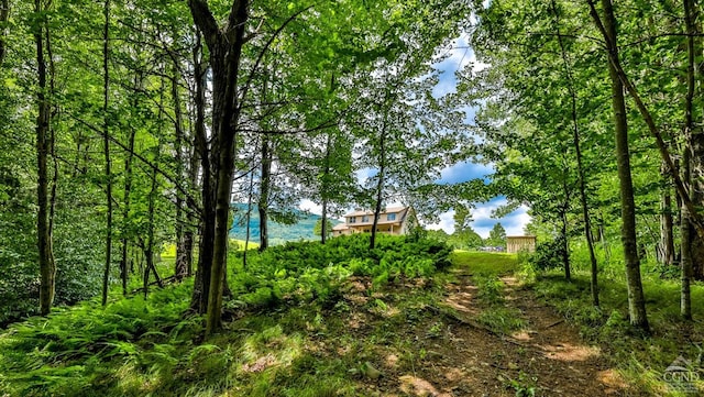1536 N Beech Ridge Rd, Prattsville, NY 12468 - photo 63