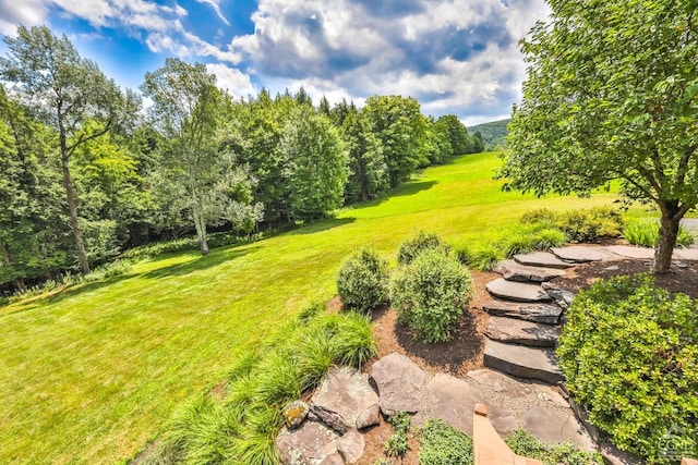 1536 N Beech Ridge Rd, Prattsville, NY 12468 - photo 53