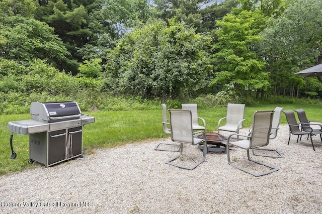 16 Wang Dr, Copake, NY 12516 - view of patio / terrace with area for grilling, an outdoor fire pit, and view of scattered trees