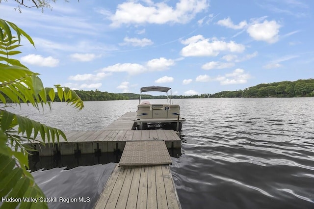 16 Wang Dr, Copake, NY 12516 - dock area featuring a water view