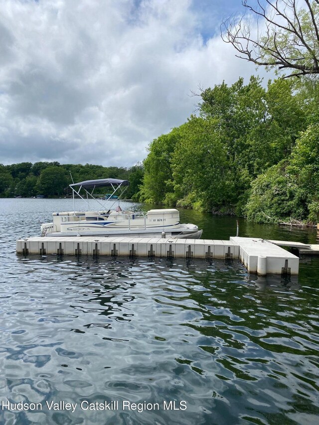 16 Wang Dr, Copake, NY 12516 - dock with a water view and a forest view