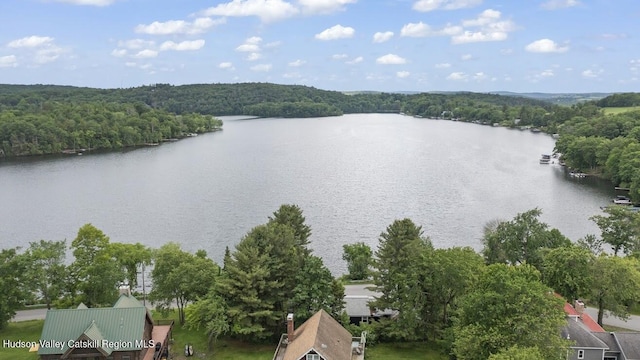 16 Wang Dr, Copake, NY 12516 - drone / aerial view of a nearby body of water