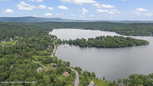16 Wang Dr, Copake, NY 12516 - aerial view of a forest and a large body of water