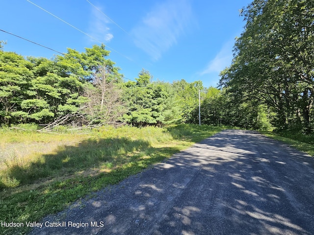 L-16.5 Donlan Heights Rd, Middleburgh, NY 12122 - photo 4
