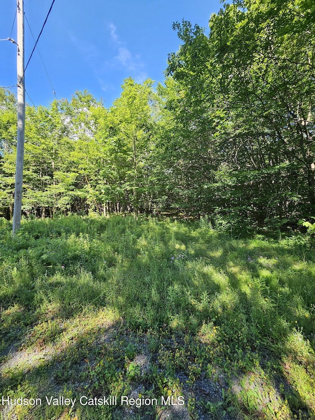 L-16.5 Donlan Heights Rd, Middleburgh, NY 12122 - photo 6