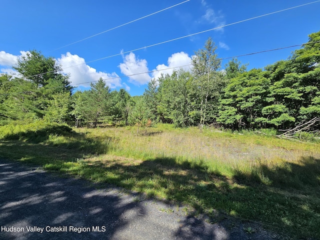 L-16.5 Donlan Heights Rd, Middleburgh, NY 12122 - photo 2