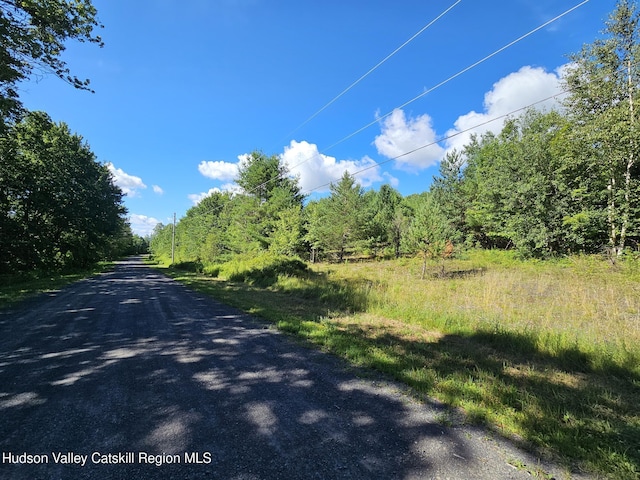 L-16.5 Donlan Heights Rd, Middleburgh, NY 12122 - photo 3