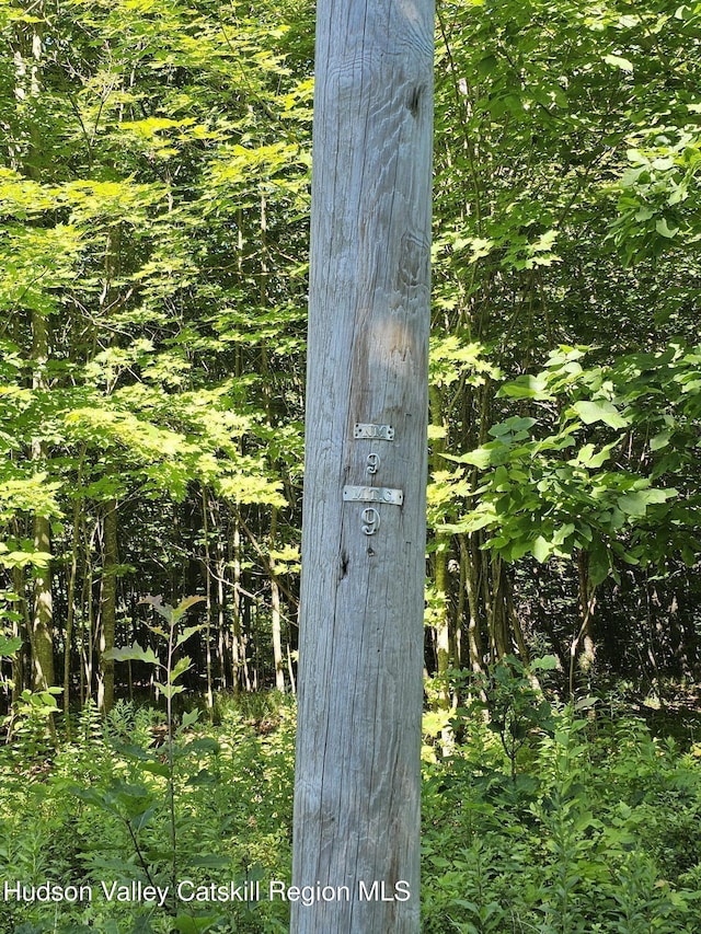 L-16.5 Donlan Heights Rd, Middleburgh, NY 12122 - photo 11