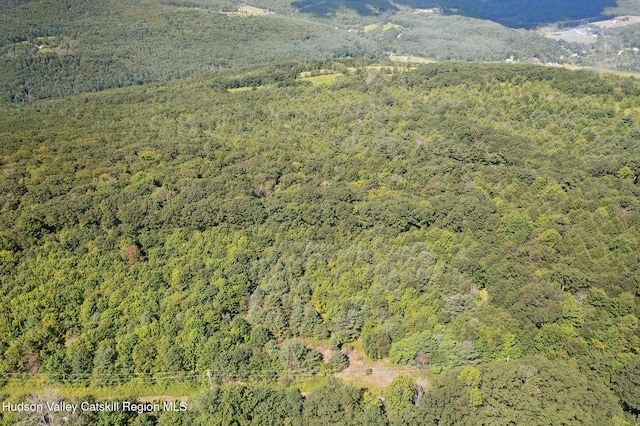 L-16.5 Donlan Heights Rd, Middleburgh, NY 12122 - photo 8
