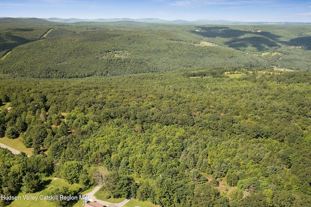 L-16.5 Donlan Heights Rd, Middleburgh, NY 12122 - photo 9