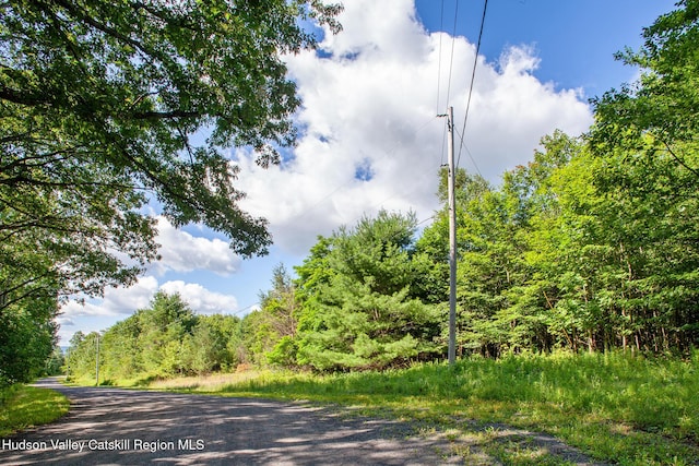 L-16.5 Donlan Heights Rd, Middleburgh, NY 12122 - photo 1