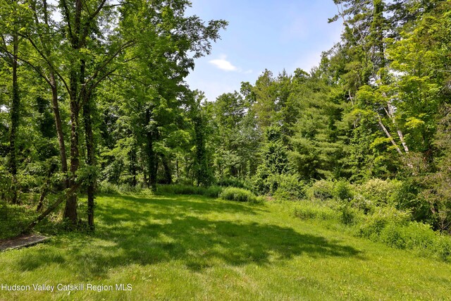 252 Upper Boiceville Rd, Boiceville, NY 12412 - photo 10