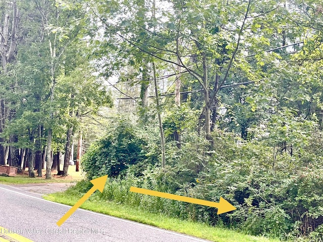 0 Cairo Junction Rd, Catskill, NY 12414 - photo 1