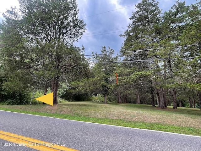 0 Cairo Junction Rd, Catskill, NY 12414 - photo 2