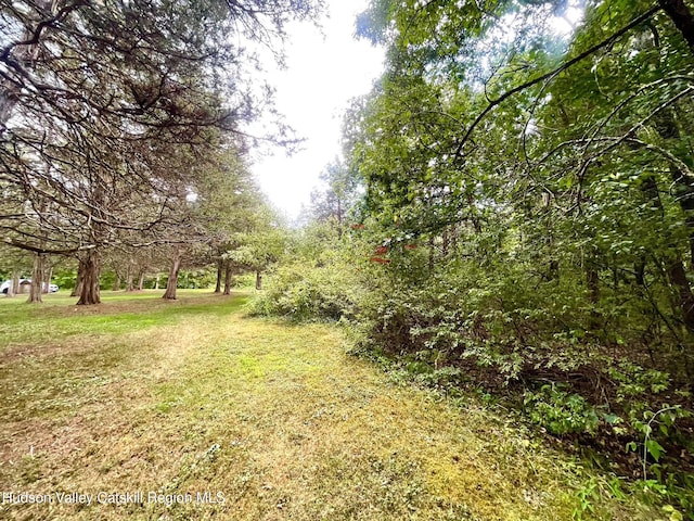 0 Cairo Junction Rd, Catskill, NY 12414 - photo 6