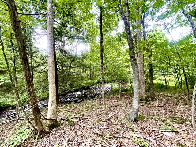 0 Cairo Junction Rd, Catskill, NY 12414 - photo 4