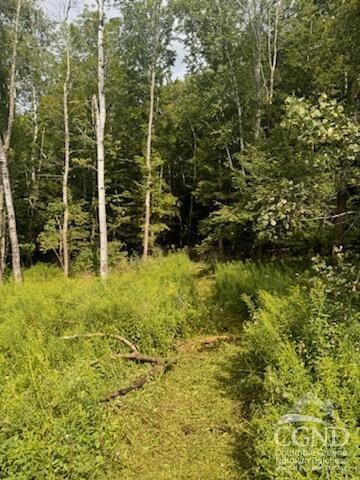 539 Rte 40, Windham, NY 12454