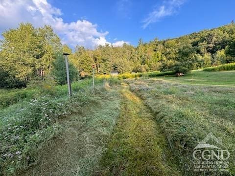 539 Rte 40, Windham, NY 12454