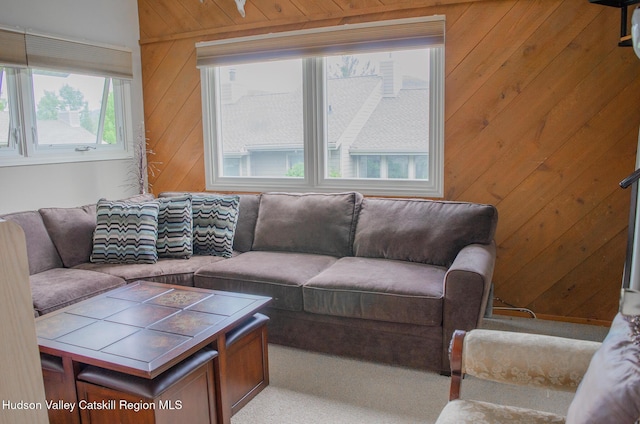 76 Highlands Dr Unit C7, Hunter, NY 12442 - photo 18