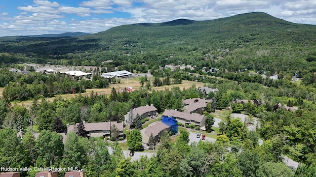 76 Highlands Dr Unit C7, Hunter, NY 12442 - photo 35