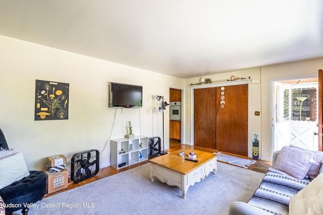 living room featuring wood finished floors