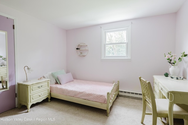 230 Middle Rd, Austerlitz, NY 12017 - photo 14