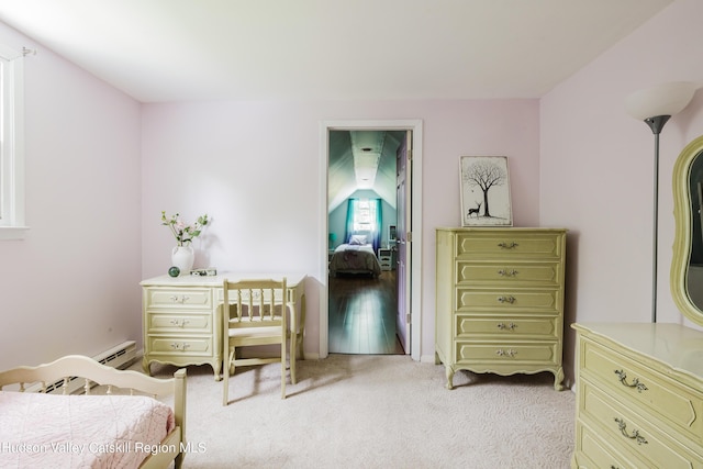 230 Middle Rd, Austerlitz, NY 12017 - photo 15