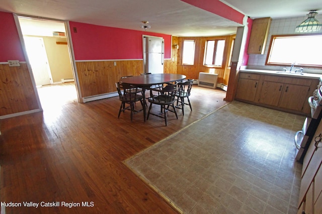 dining area with plenty of natural light, light hardwood / wood-style floors, sink, and wooden walls