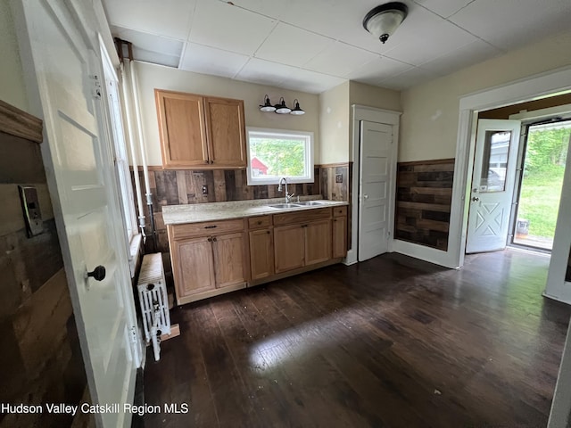 kitchen featuring a wealth of natural light, wainscoting, a sink, and dark wood finished floors