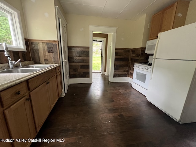 kitchen with wainscoting, a healthy amount of sunlight, a sink, and white appliances