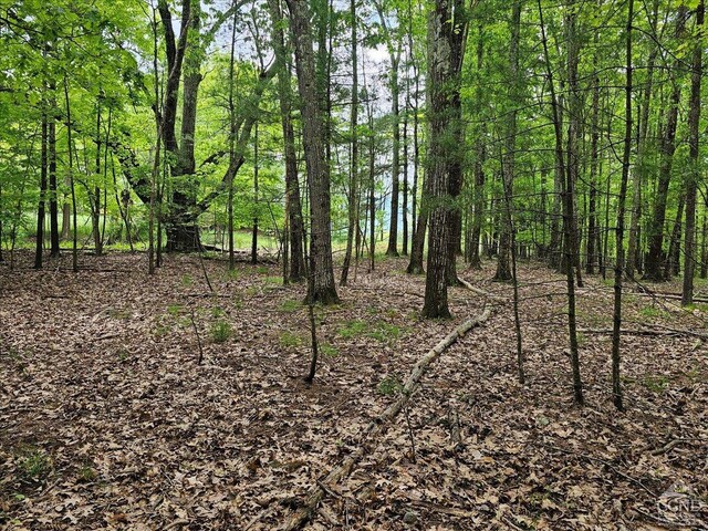 305 Maple Lawn, Cairo, NY 12413 - photo 10